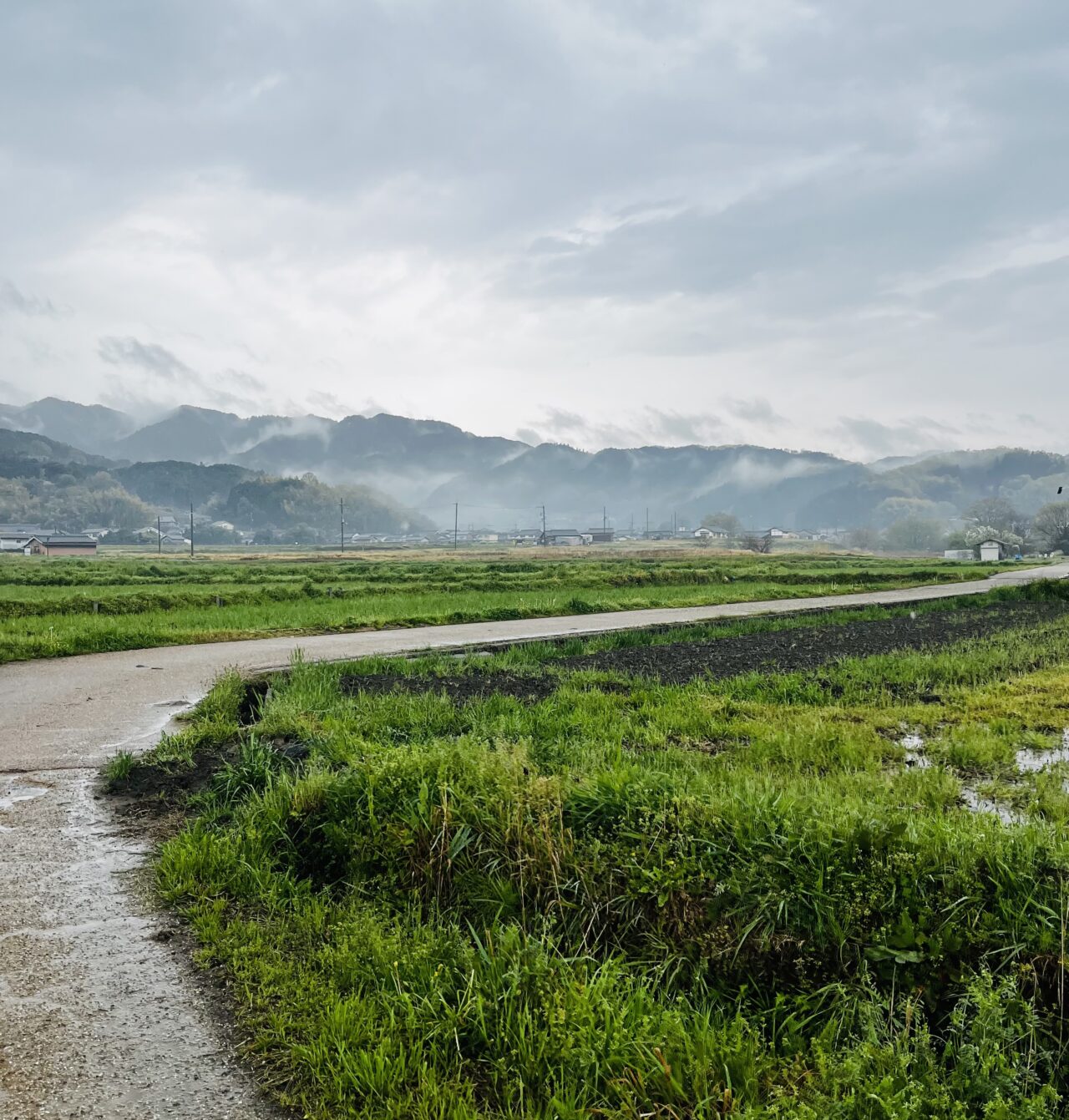 明日香村雨観光