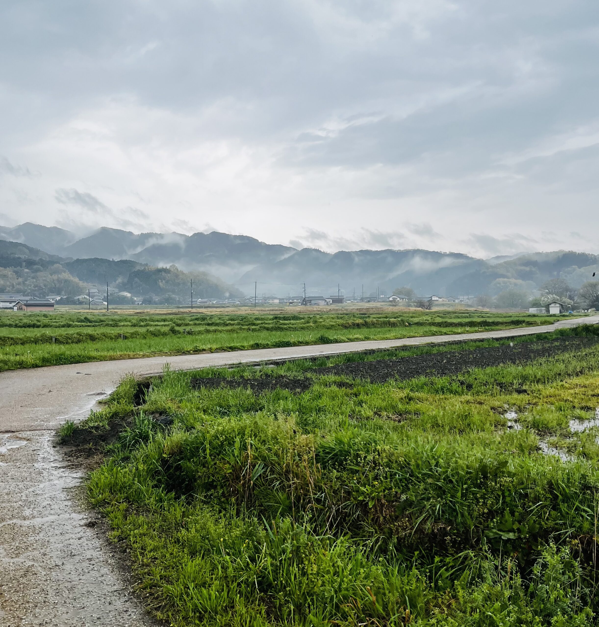 明日香村雨観光