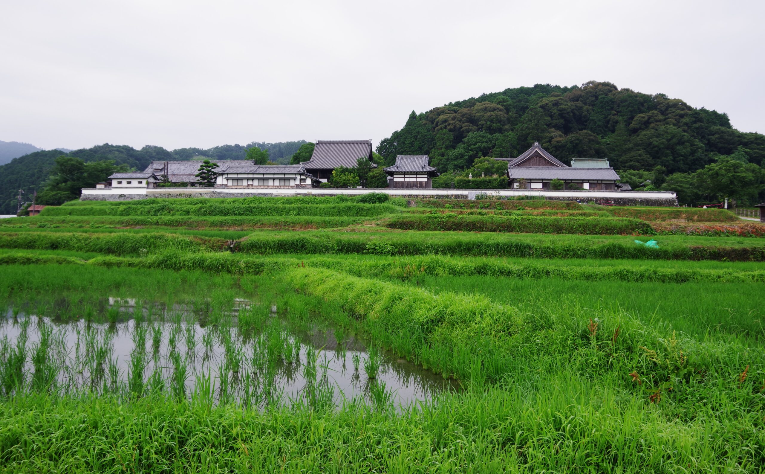 明日香村世界遺産橘寺